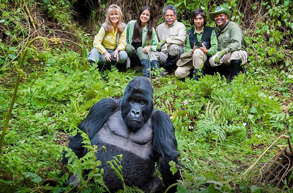 Face to Face with the Mountain Gorillas in Rwanda