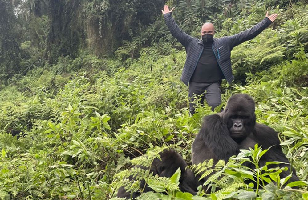 Go Gorilla Trekking in Rwanda